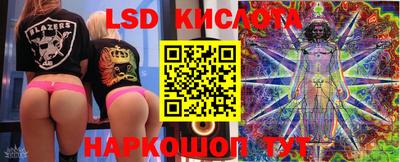 стафф Можга