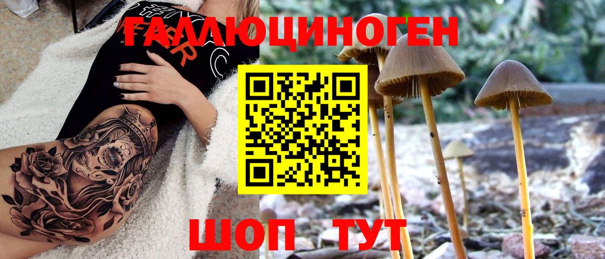 Хабаровск  Псилоцибиновые грибы Cubensis  Вход с VPN 